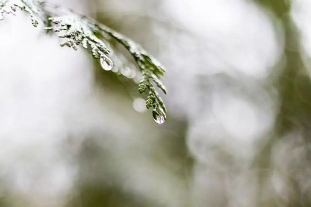 空氣濕度大帶來的危害有哪些，你知道嗎？