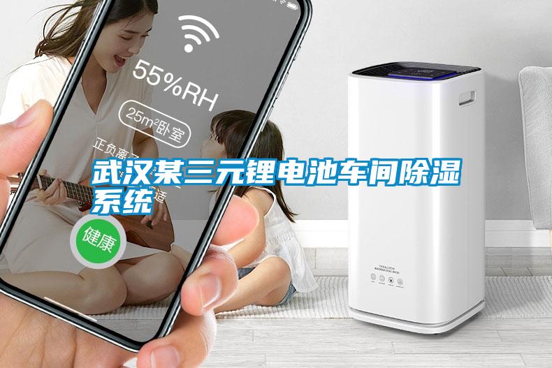 武漢某三元鋰電池車間91看片在线下载係統