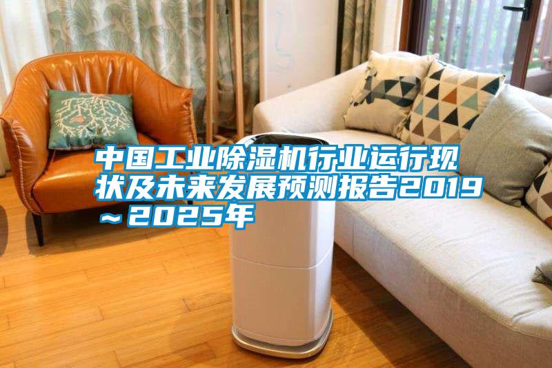 中國工業91看片在线下载機行業運行現狀及未來發展預測報告2019～2025年