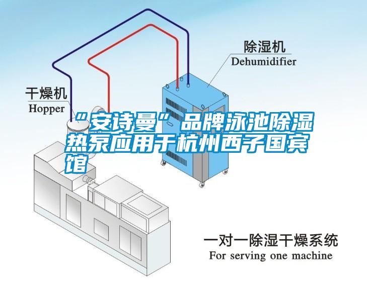 “91免费看片APP”品牌泳池91看片在线下载熱泵應用於杭州西子國賓館
