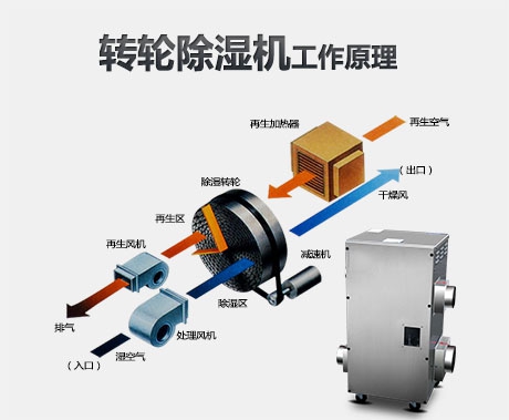 工業91看片在线下载機在回南天雨季的作用