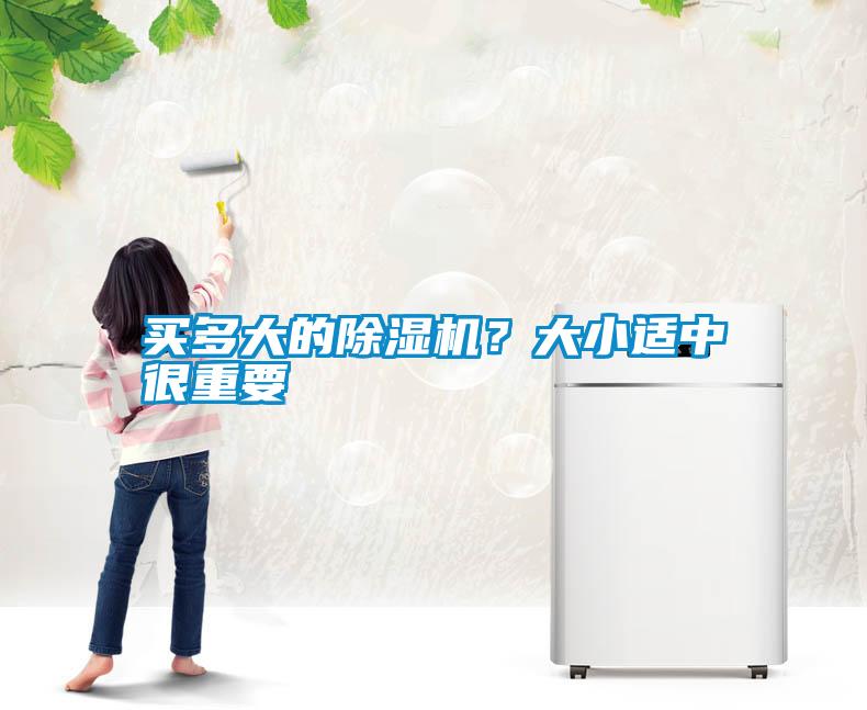 買多大的91看片在线下载機？大小適中很重要