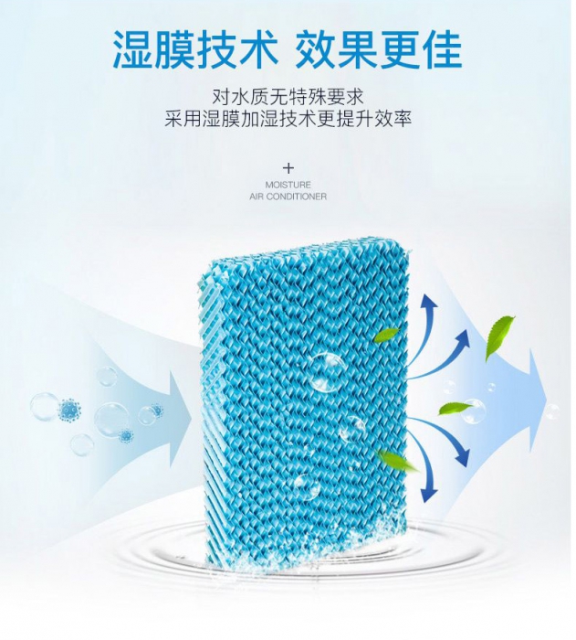 春天潮濕，教你家居防黴妙法