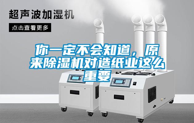 你一定不會知道，原來91看片在线下载機對造紙業這麽重要