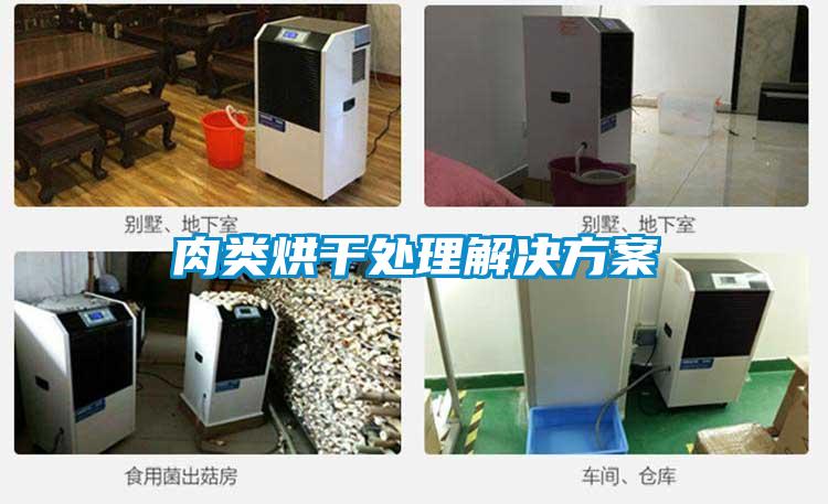 肉類烘幹處理解決免费看片下载