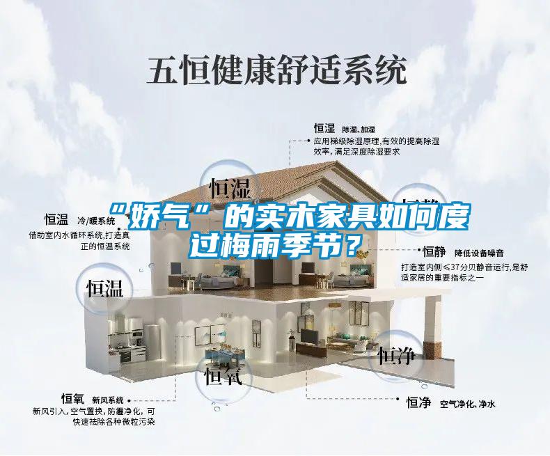 “嬌氣”的實木家具如何度過梅雨季節？