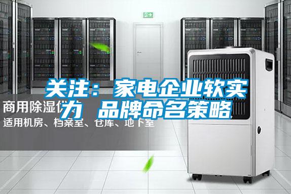 關注：家電企業軟實力 品牌命名策略