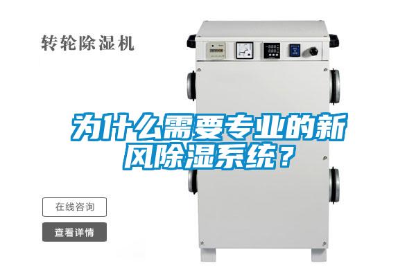 為什麽需要專業的新風91看片在线下载係統？