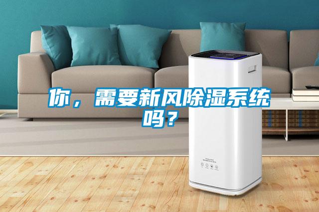 你，需要新風91看片在线下载係統嗎？