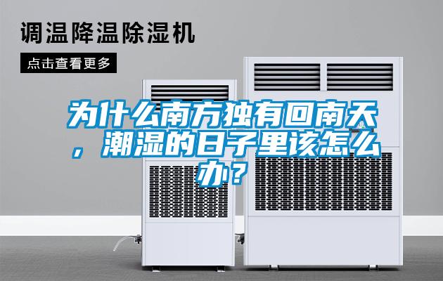 為什麽南方獨有回南天，潮濕的日子裏該怎麽辦？