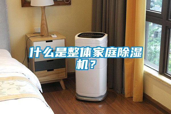 什麽是整體家庭91看片在线下载機？