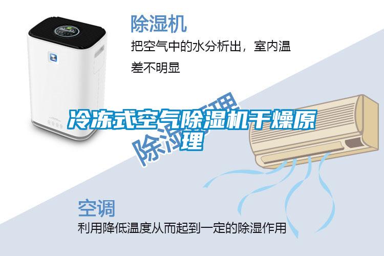 冷凍式空氣91看片在线下载機幹燥原理