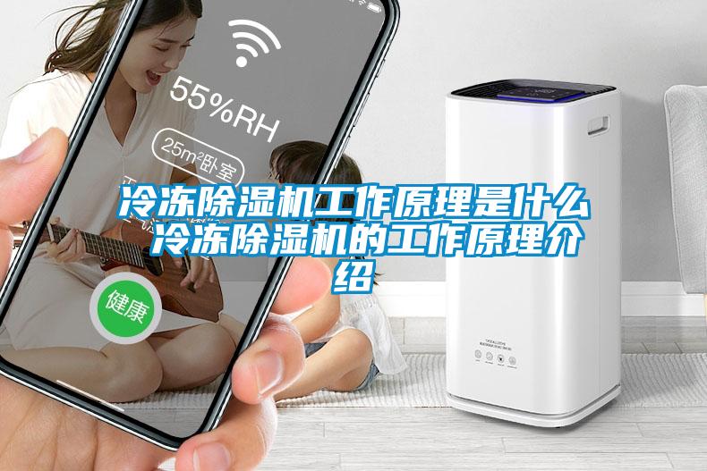 冷凍91看片在线下载機工作原理是什麽 冷凍91看片在线下载機的工作原理介紹