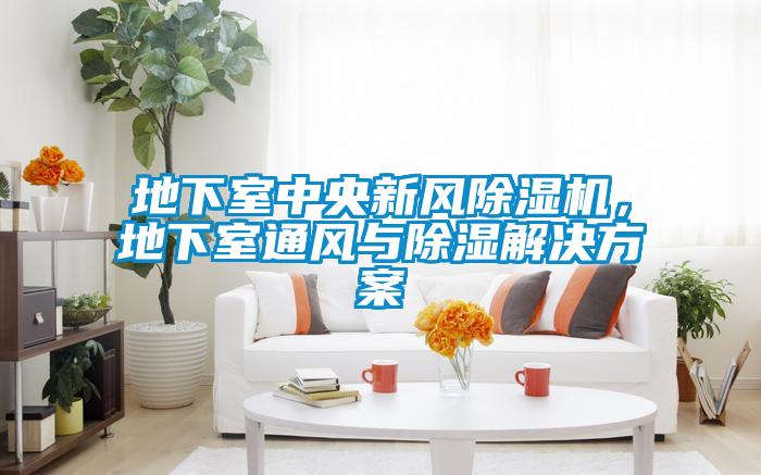 地下室中央新風91看片在线下载機，地下室通風與91看片在线下载解決免费看片下载