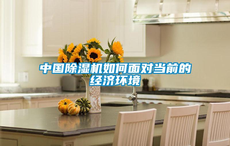 中國91看片在线下载機如何麵對當前的經濟環境