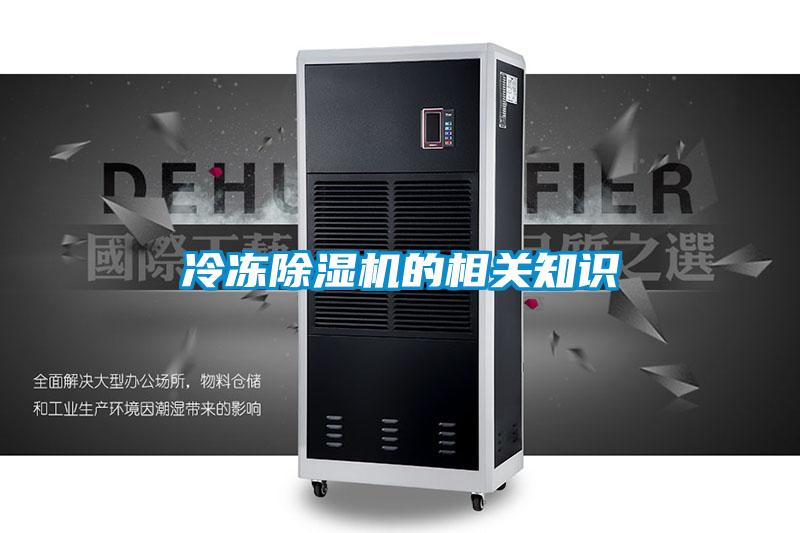 冷凍91看片在线下载機的相關知識