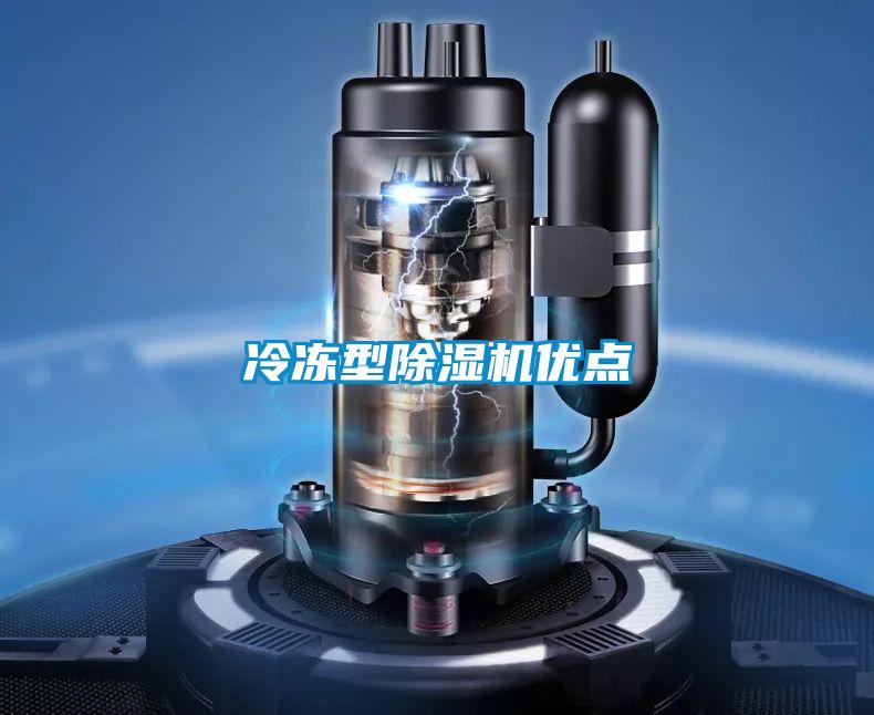 冷凍型91看片在线下载機優點
