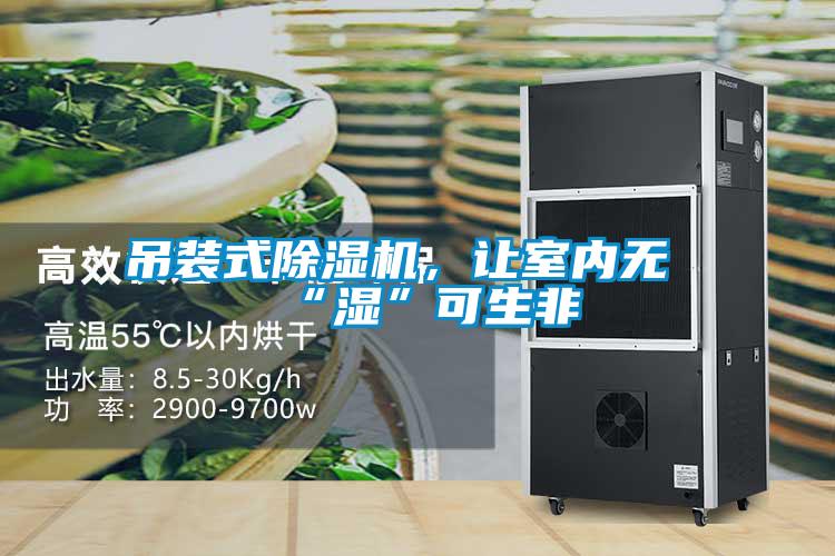 吊裝式91看片在线下载機，讓室內無“濕”可生非
