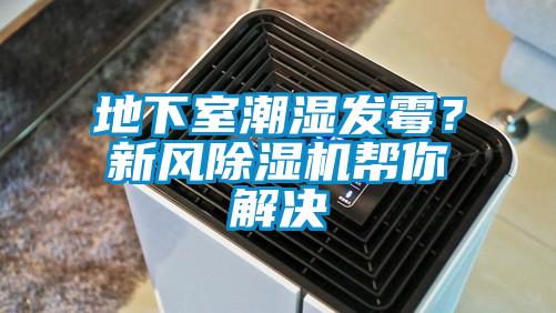 地下室潮濕發黴？新風91看片在线下载機幫你解決