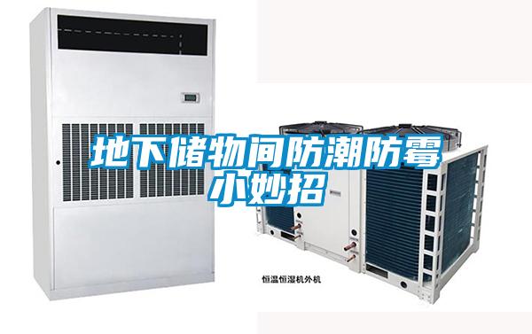 地下儲物間防潮防黴小妙招