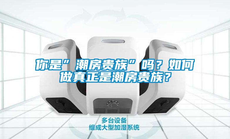 你是”潮房貴族”嗎？如何做真正是潮房貴族？