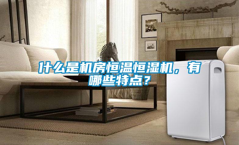 什麽是機房恒溫恒濕機，有哪些特點？