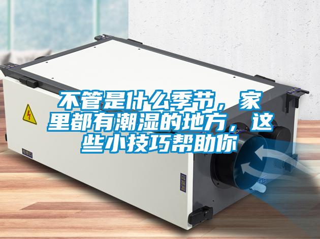 不管是什麽季節，家裏都有潮濕的地方，這些小技巧幫助你