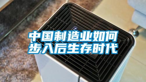 中國製造業如何步入後生存時代