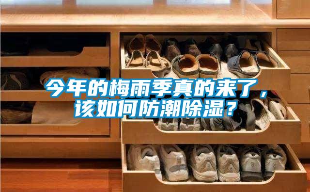 今年的梅雨季真的來了，該如何防潮91看片在线下载？