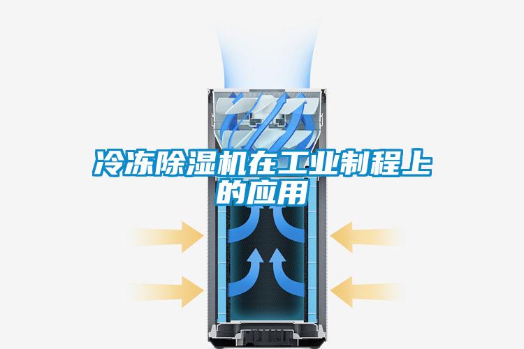 冷凍91看片在线下载機在工業製程上的應用