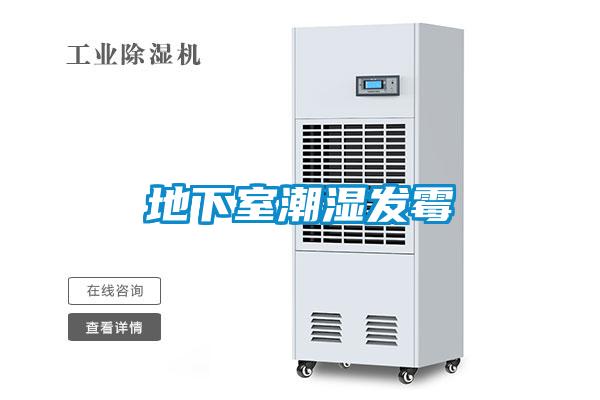 地下室潮濕發黴