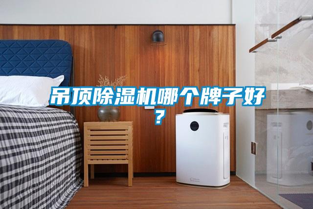 吊頂91看片在线下载機哪個牌子好？