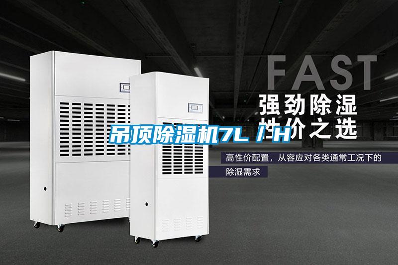 吊頂91看片在线下载機7L／H
