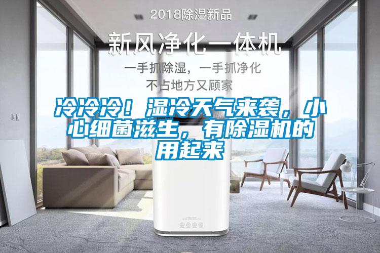 冷冷冷！濕冷天氣來襲，小心細菌滋生，有91看片在线下载機的用起來