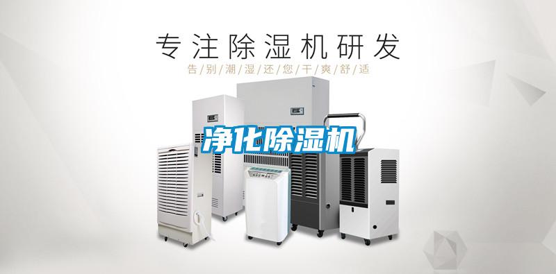淨化91看片在线下载機