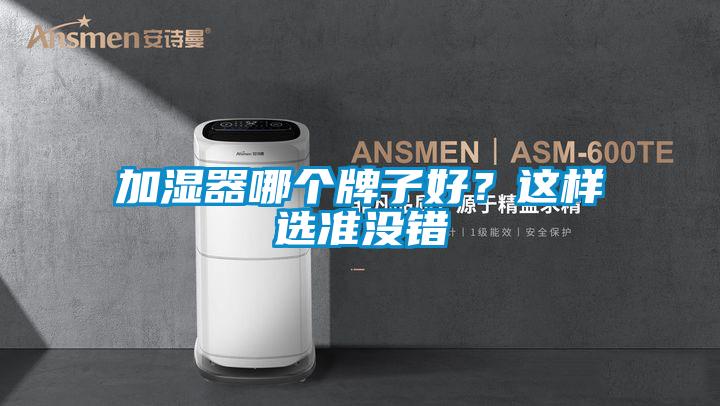 加濕器哪個牌子好？這樣選準沒錯