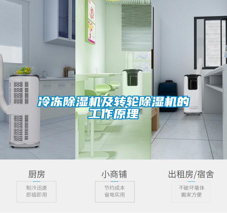 冷凍91看片在线下载機及轉輪91看片在线下载機的工作原理