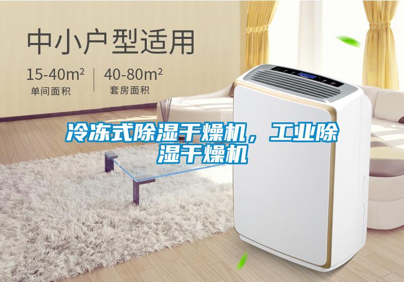 冷凍式91看片在线下载幹燥機，工業91看片在线下载幹燥機