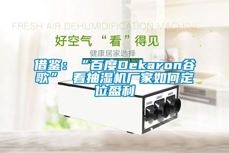 借鑒：“百度Dekaron穀歌” 看抽濕機廠家如何定位盈利