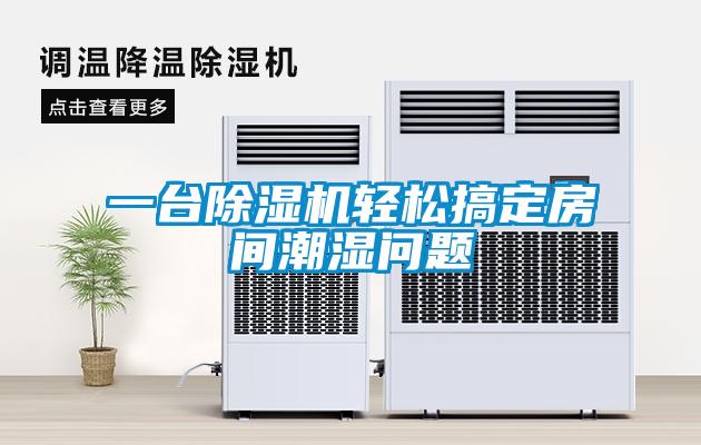 一台91看片在线下载機輕鬆搞定房間潮濕問題
