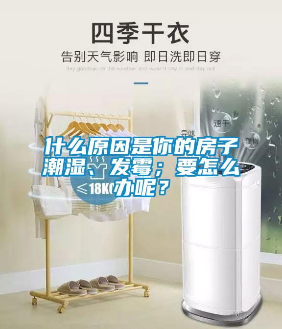 什麽原因是你的房子潮濕、發黴；要怎麽辦呢？