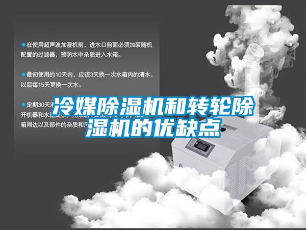 冷媒91看片在线下载機和轉輪91看片在线下载機的優缺點