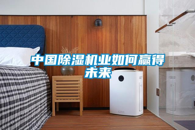 中國91看片在线下载機業如何贏得未來