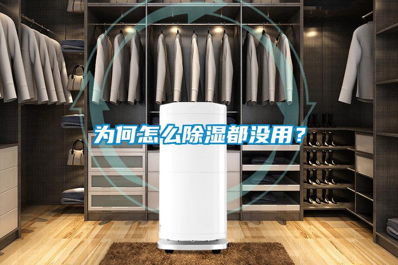 為何怎麽91看片在线下载都沒用？