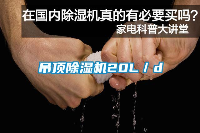 吊頂91看片在线下载機20L／d