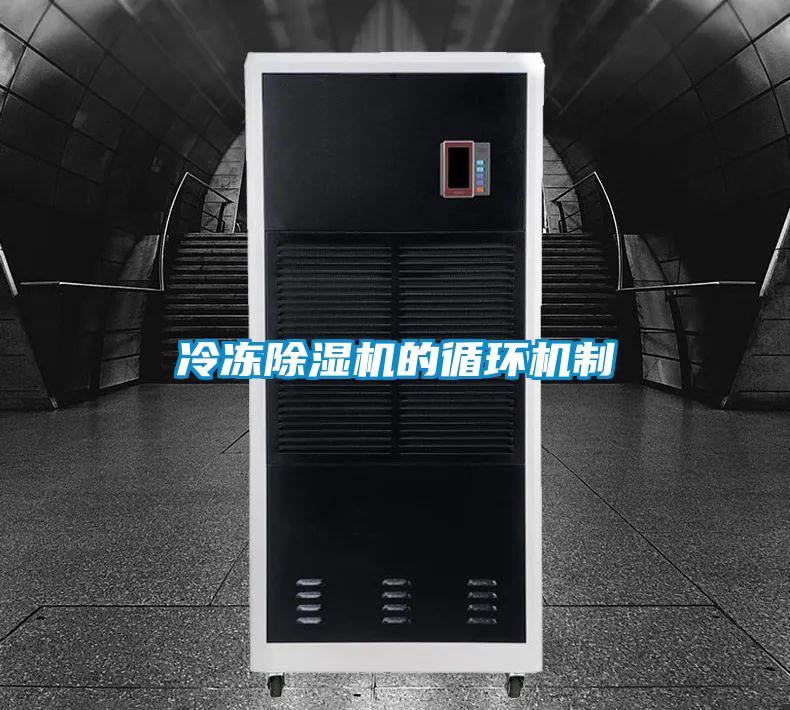 冷凍91看片在线下载機的循環機製