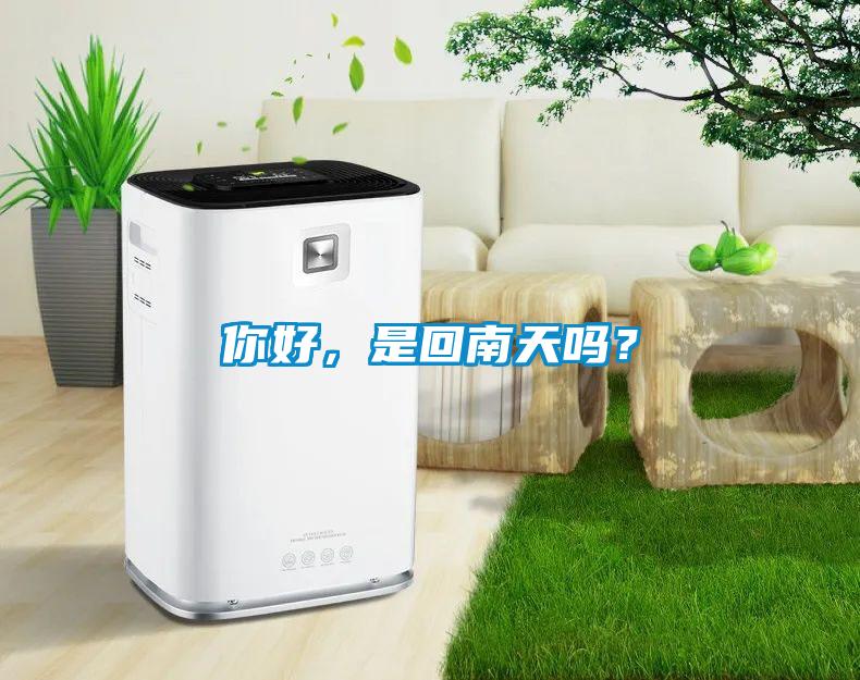 你好，是回南天嗎？