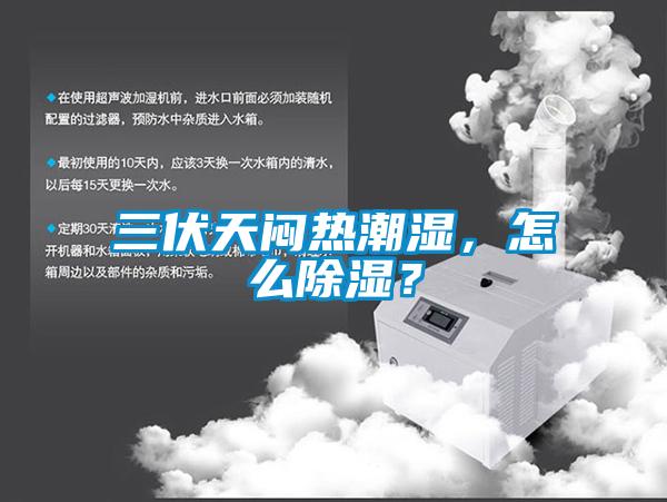三伏天悶熱潮濕，怎麽91看片在线下载？