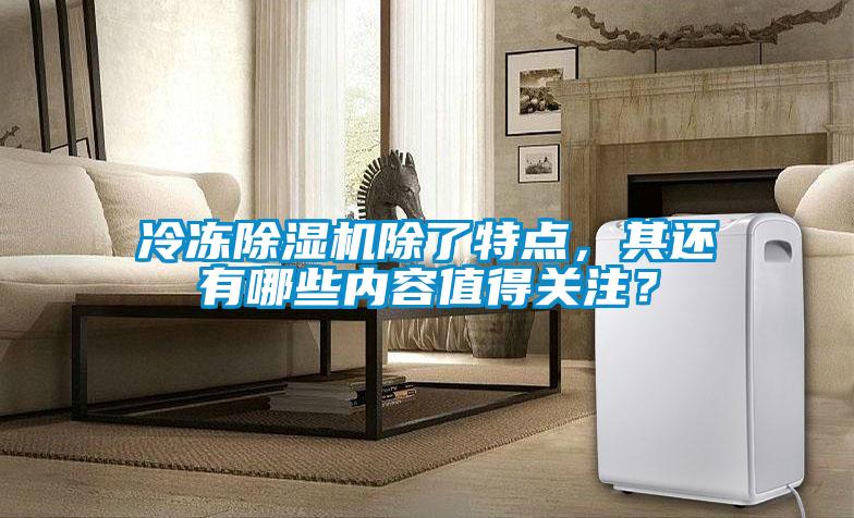 冷凍91看片在线下载機除了特點，其還有哪些內容值得關注？