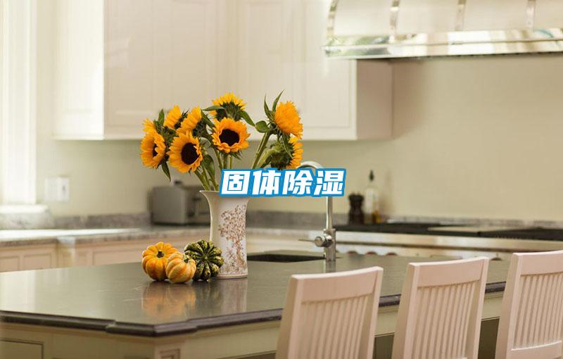 固體91看片在线下载